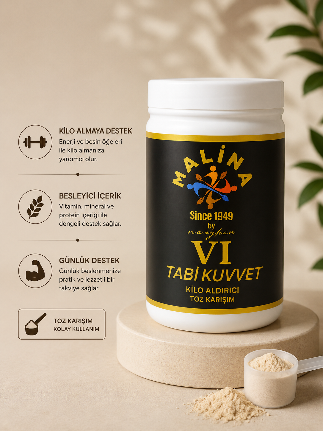 Vi Tabii Kuvvet Kilo Aldırıcı Toz Karışım